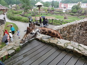 Exkurze v Zoo Jihlava