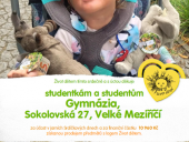 Jarní charitativní akce