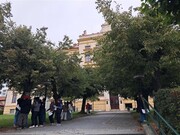 Výstava na stromech