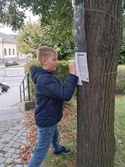 Výstava na stromech