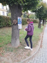 Výstava na stromech