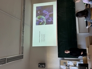 Mezipředmětové prezentace v němčině 